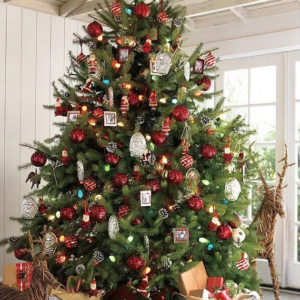 Sapin